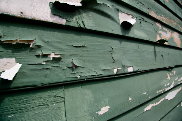 Best Dumpster Rental Services  in Kokomo, IN