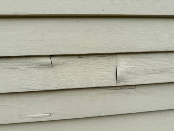 Best Property Management Cleanouts  in Kokomo, IN